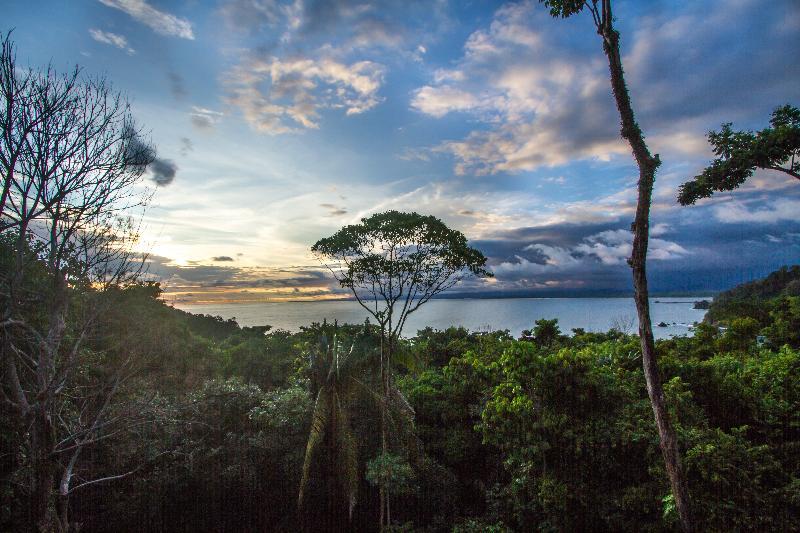 Issimo Suites Boutique Hotel & Spa - Adults Only Manuel Antonio Luaran gambar