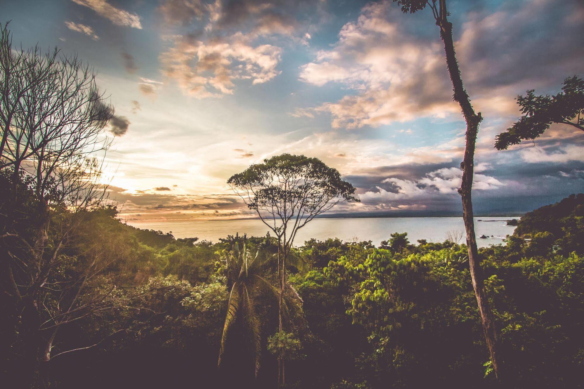 Issimo Suites Boutique Hotel & Spa - Adults Only Manuel Antonio Luaran gambar