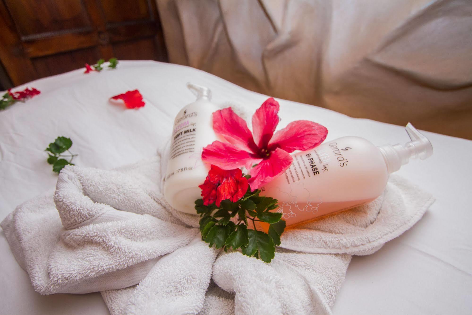 Issimo Suites Boutique Hotel & Spa - Adults Only Manuel Antonio Luaran gambar